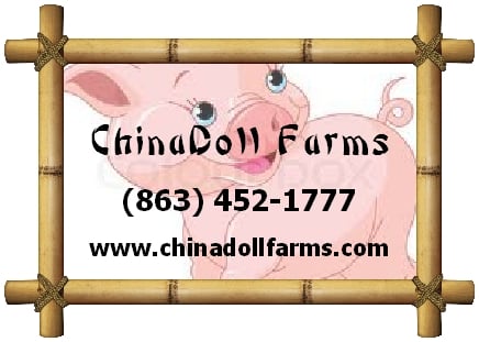 Chinadoll Farms Image