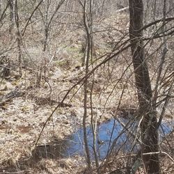 Farmington Canal Heritage Trail