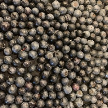Blueberry Hill - Fresh blueberries picked this morning- getting ready to freeze some to enjoy later! - Pick Your Own Farms Near Me - Greenville, South Carolina