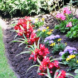 A Woman's Touch Landscaping