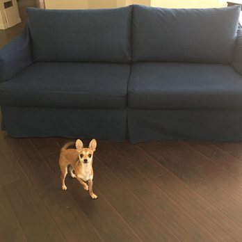 Montes Re-Upholstery - Puppy approved new denim slipcover, custom made by Montes-Re-Upholstery. - Furniture Reupholstery Near Me - Rialto, California Montes Re-Upholstery - Puppy approved new denim slipcover, custom made by Montes-Re-Upholstery. - Furniture Reupholstery Near Me - Rialto, California