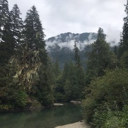 Marble Creek Campground - View from the river along the campground