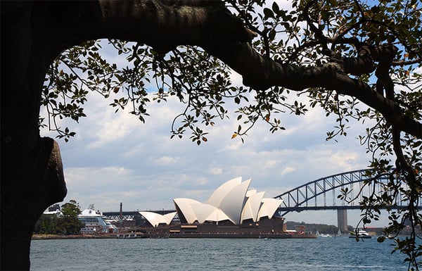 Mrs Macquarie's Chair by null