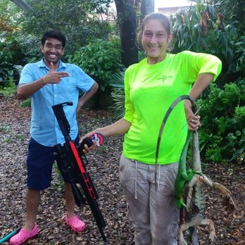 Iguana Solutions - Excellent customer service. - Wildlife Control Near Me