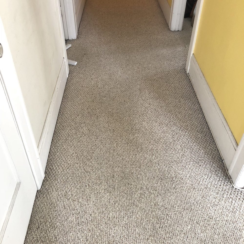 Oscar's Carpet Cleaning - Carpet Cleaning Near Me Oscar's Carpet Cleaning - Carpet Cleaning Near Me