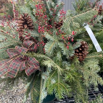 Kent Greenhouse & Gardens - Loved this huge fresh greenery arrangement - Nurseries & Gardening Near Me - Kent, Connecticut