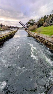 Ballard (Hiram M. Chittenden) Locks by null