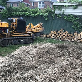Danny DP Corp Tree Service - Tree Services Near Me - Port Washington, New York Danny DP Corp Tree Service - Tree Services Near Me - Port Washington, New York