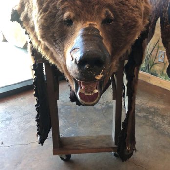 Big Bear Discovery Center - Hiking Near Me - Fawnskin, California Big Bear Discovery Center - Hiking Near Me - Fawnskin, California