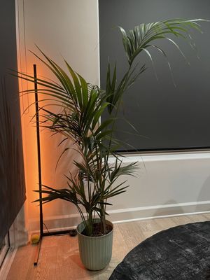 The Home Depot by null