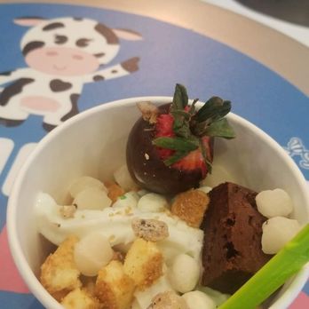 Menchie's Frozen Yogurt - Ice Cream & Frozen Yogurt Near Me - Houston, Texas