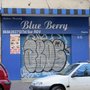 Photo of Blueberry Beauty