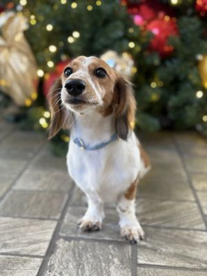 Ala Moana Center by null