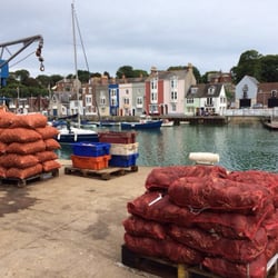 Dorset Seafood Festival