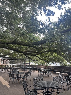 The Francis Southern Table & Bar by null