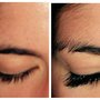 Photo of Ladybird Lash