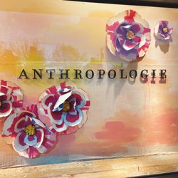 Anthropologie