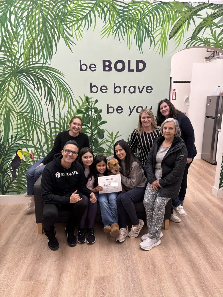 LearningRx - Franklin - reading tutor in Franklin, TN