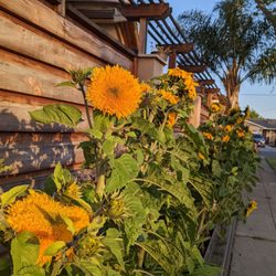 Newark Fence - Addition of planter box