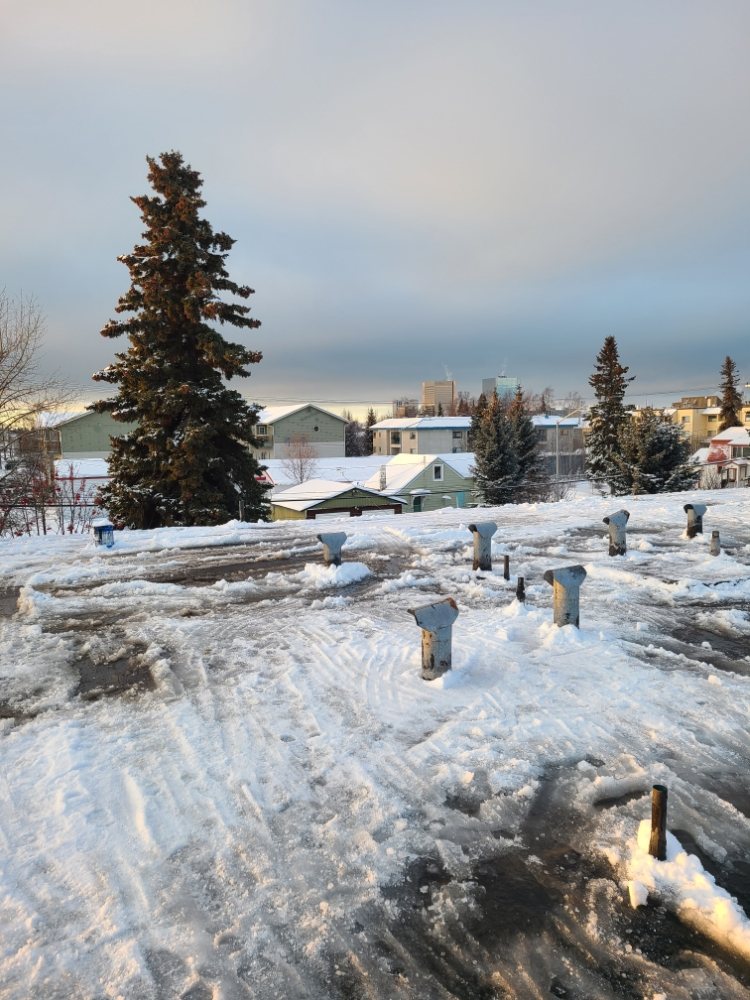 Slide of No Strings Attached Services