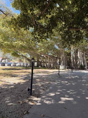 Edison & Ford Winter Estates by null