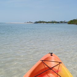 Allure Boat Rentals