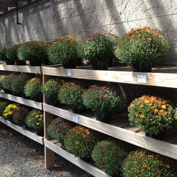 Diver's Garden & Pet Supplies