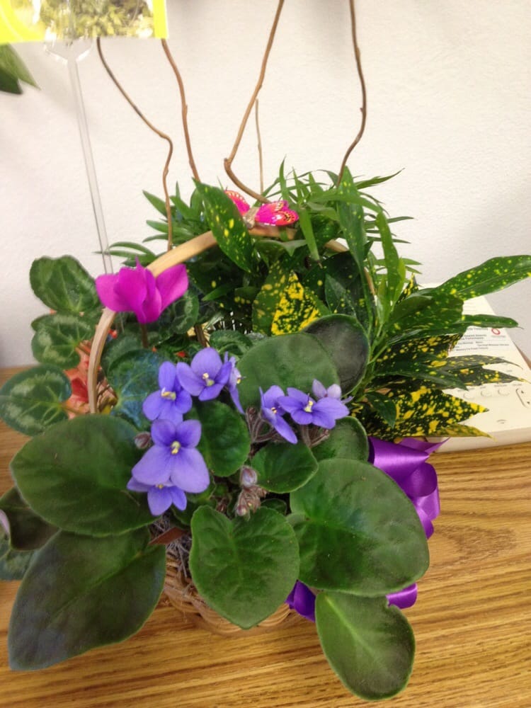 WES’ FLOWERS 130 Photos & 181 Reviews 28007 Jefferson Ave, Temecula