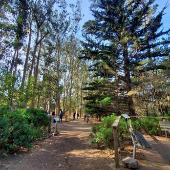 Monarch Grove Sanctuary - Trail - Parks Near Me - Pacific Grove, California Monarch Grove Sanctuary - Trail - Parks Near Me - Pacific Grove, California