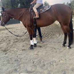My daughter and Brandie's beautiful horse Dancer