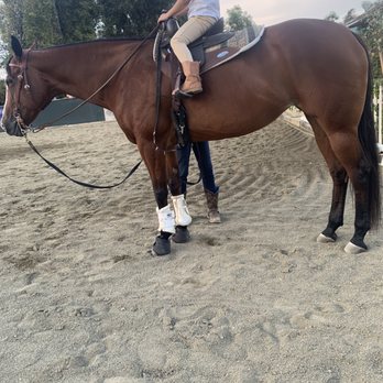 The Circle B Riding Academy - My daughter and Brandie's beautiful horse Dancer - Horseback Riding Near Me - Norco, California