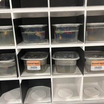 PetSmart - Lack of care for their fish! - Pet Stores Near Me - Fullerton, California