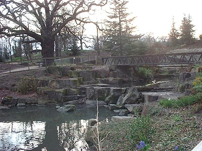 Crystal Palace Dinosaurs by null