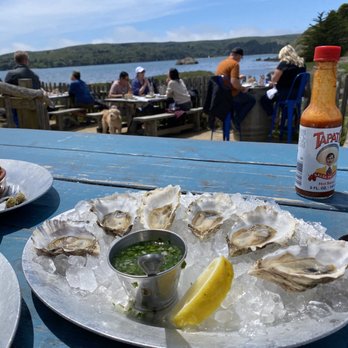 Hog Island Oyster - Seafood Near Me - Marshall, California Hog Island Oyster - Seafood Near Me - Marshall, California