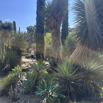 Arizona Garden - Botanical Gardens Near Me - Stanford, California Arizona Garden - Botanical Gardens Near Me - Stanford, California