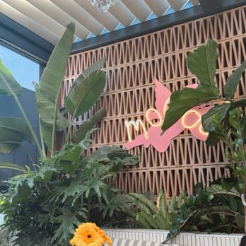 Mood - Patio - Breakfast & Brunch Near Me - Los Angeles, California Mood - Patio - Breakfast & Brunch Near Me - Los Angeles, California