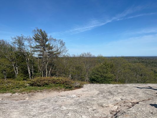 Bradbury Mountain State Park by null