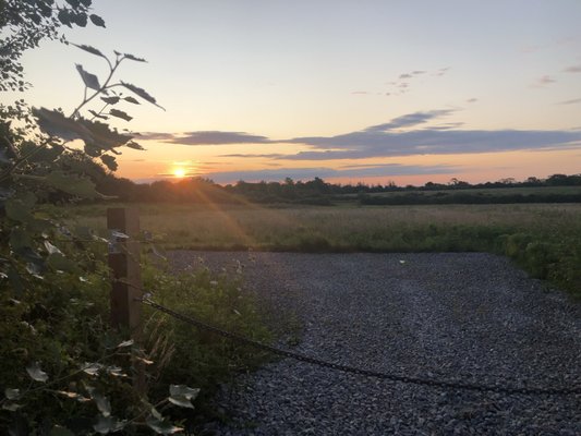 Frosty Freez by null