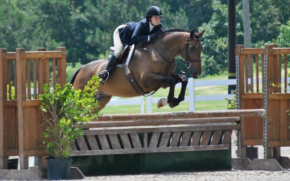New Beginnings Stable - equestrian in Canton, GA