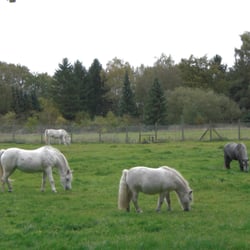 Gaststätte Sibirien GmbH - Am Spazierweg in Sibirien