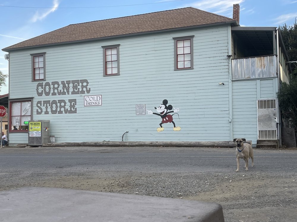 CORNER STORE Updated September 2024 7530 State Hwy 16, Guinda