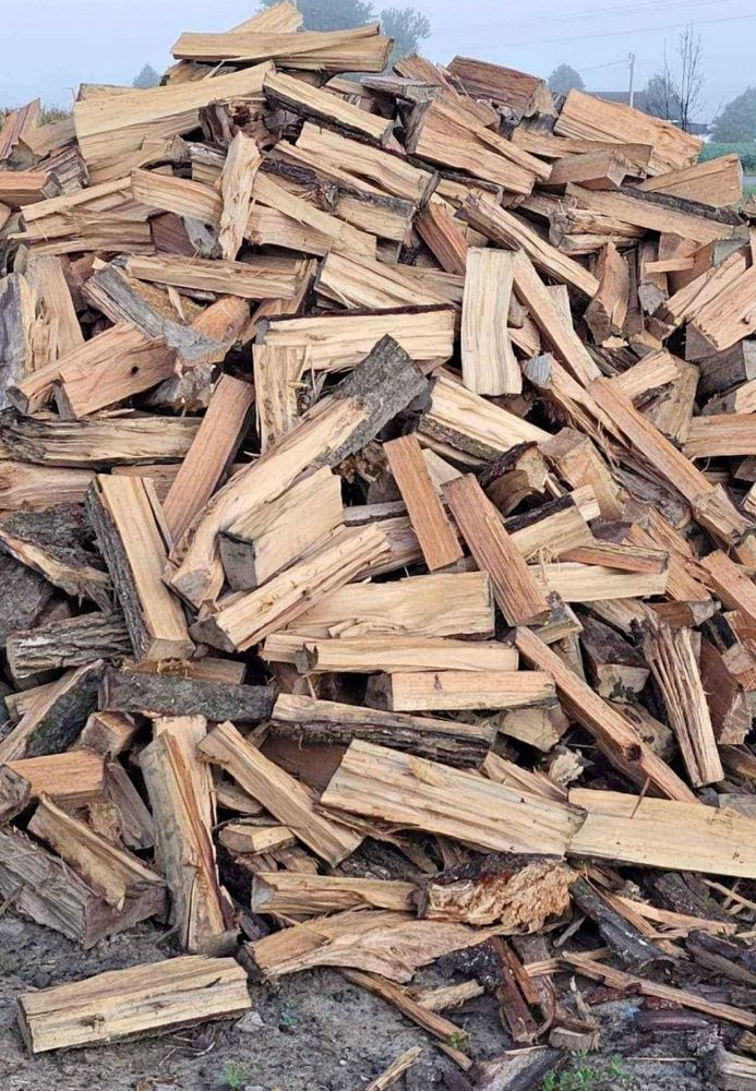 De Paula Tree Services - tree service in Mendon, MA