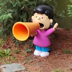 user provided Balloon Race photo