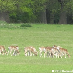 Holkham Estate