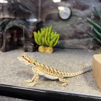 Petco - Pet Stores Near Me - West Covina, California Petco - Pet Stores Near Me - West Covina, California