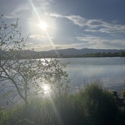 Coot Lake Open Space