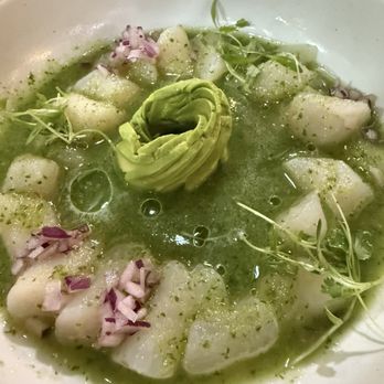 Holbox - Scallop Ceviche - Latin American Near Me - Los Angeles, California