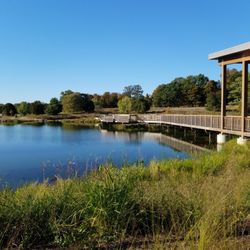 Jasper Parklands - Otis pond