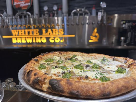 White Labs Brewing Co - San Diego by null