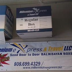 Millennium Express & Travel